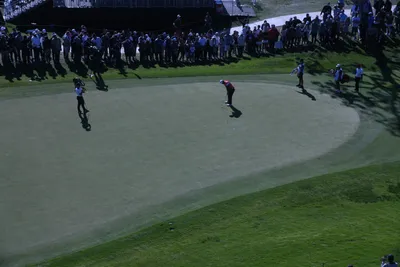 DSC_0741 (Large).JPG